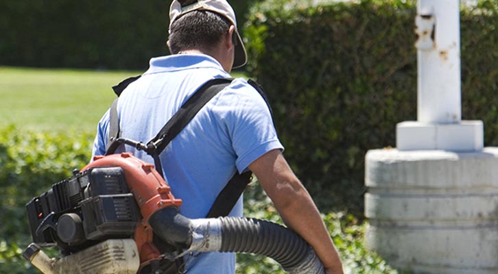 Person using a leaf blower on a street