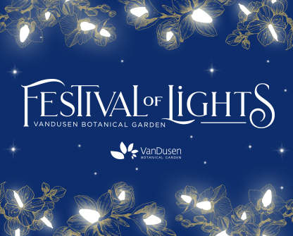Festival of Lights at VanDusen Botanical Garden