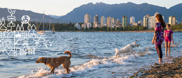 Woman and girl on beach with a brown and a white dog playing in the water Woman and girl on beach with a brown and a white dog playing in the water