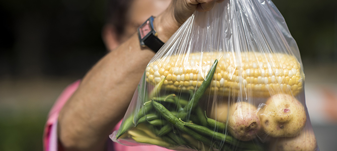 A hand holding a bag full of vegetables is shown A hand holding a bag full of vegetables is shown