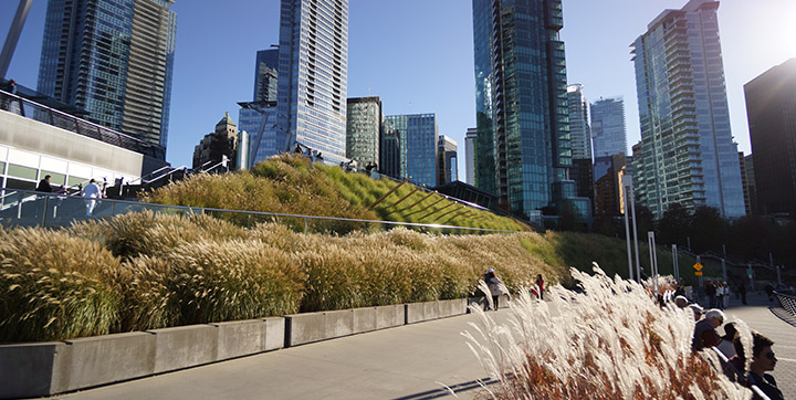 Green roof on the Vancouver Convention Centre Green roof on the Vancouver Convention Centre