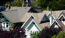 Roofs of houses Roofs of houses