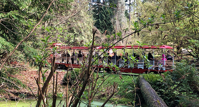 Stanley Park train going through trees Stanley Park train going through trees