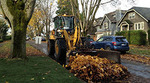 Leaves being cleared from the street Leaves being cleared from the street