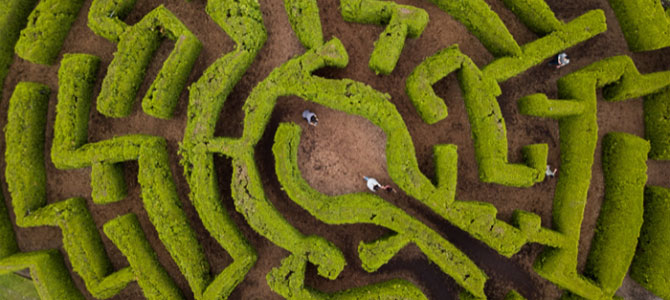 Aerial view of Elizabethan hedge maze Aerial view of Elizabethan hedge maze