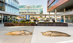 A Long Conversation by Peter Gazendam, 2017 A Long Conversation by Peter Gazendam, 2017