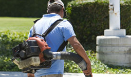 Man using leaf blower Man using leaf blower