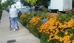 Pedestrian on a sidewalk using a walker Pedestrian on a sidewalk using a walker