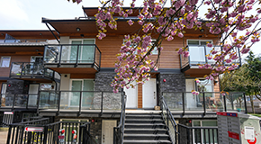 A house with a cherry blossom tree in front of it 