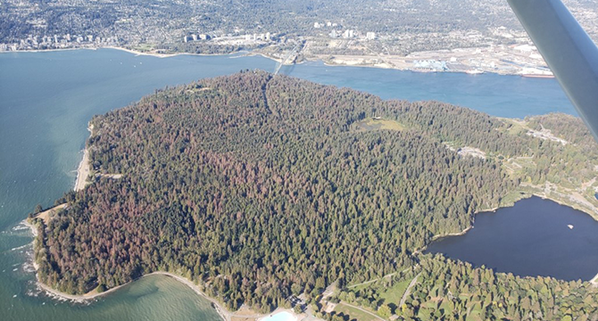 Aerial view of the Stanley Park forest, surrounded by water Aerial view of the Stanley Park forest, surrounded by water