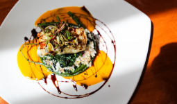 A piece of grilled fish atop a bed of greens, drizzled with balsamic dressing A piece of grilled fish atop a bed of greens, drizzled with balsamic dressing