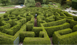 Aerial view of the garden maze at VanDusen Botanical Garden Aerial view of the garden maze at VanDusen Botanical Garden